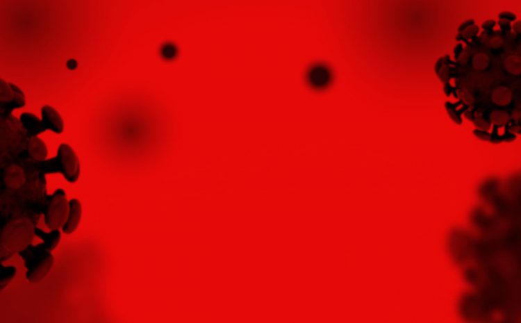  Corona Virus (COVID-19) Outbreak